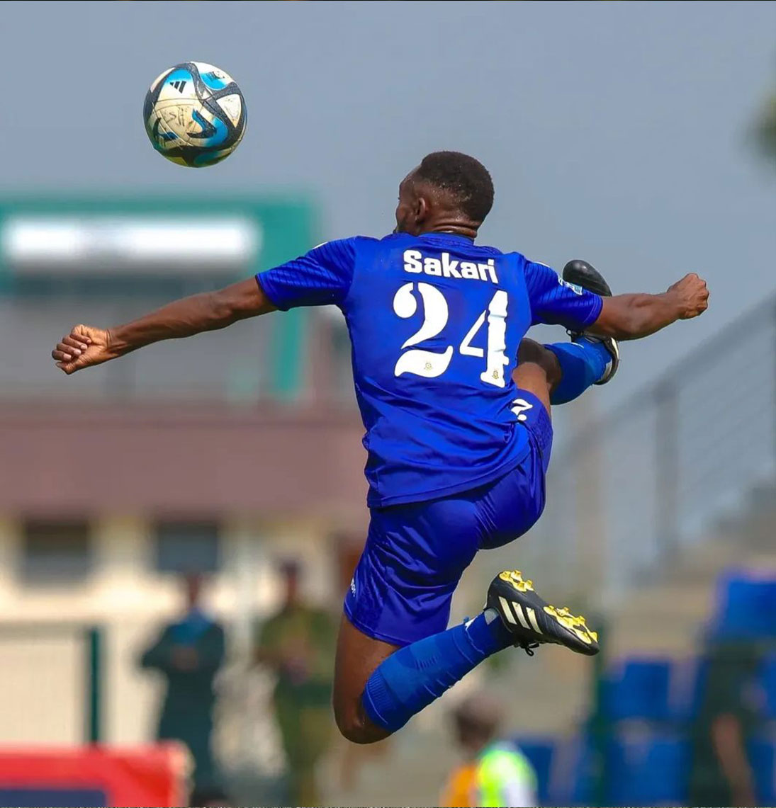 Player management and representation